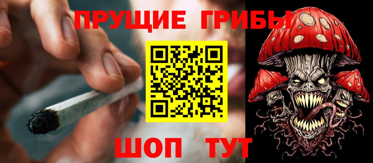 Псилоцибиновые грибы прущие грибы Великие Луки
